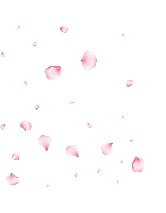 Rose Petals