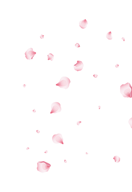 Rose Petals